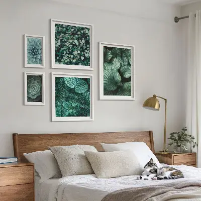 Lot de tableaux encadrés motifs de feuilles de plantes succulentes nature