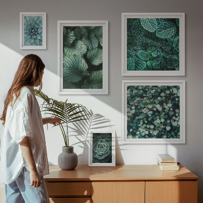 Lot de tableaux encadrés Feuilles de plantes succulentes nature