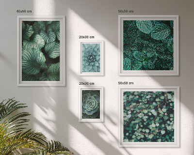 Lot de tableaux encadrés Feuilles de plantes succulentes nature