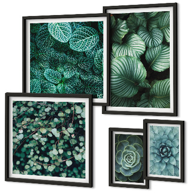 Lot de tableaux encadrés Feuilles de plantes succulentes nature