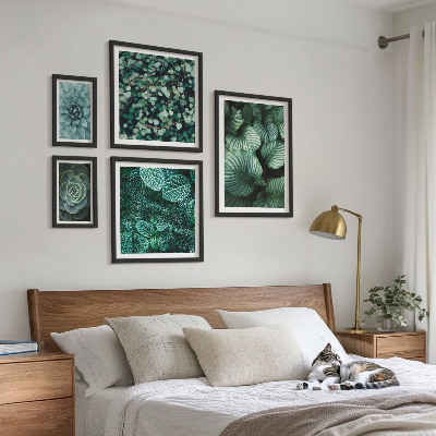 Lot de tableaux encadrés Feuilles de plantes succulentes nature