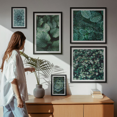 Lot de tableaux encadrés Feuilles de plantes succulentes nature