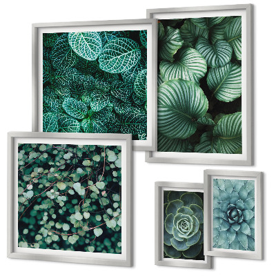 Lot de tableaux encadrés Feuilles de plantes succulentes nature