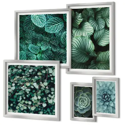 Lot de tableaux encadrés motifs de feuilles de plantes succulentes nature