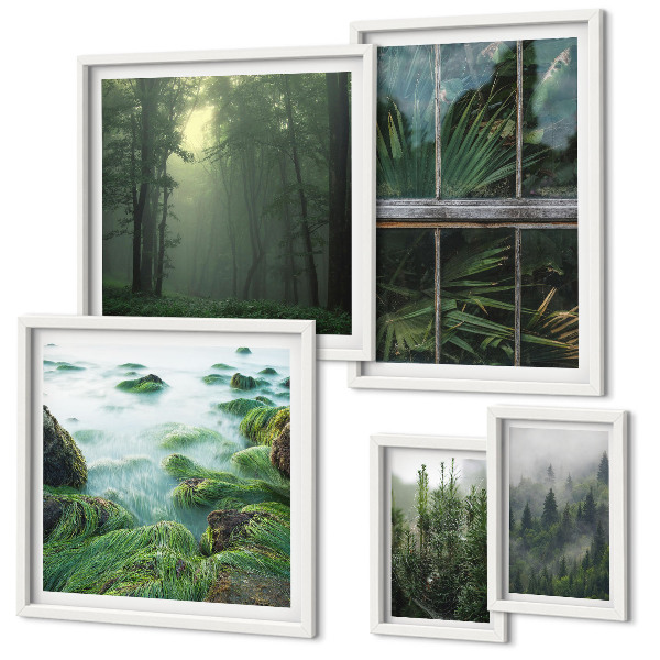 Tableau de décoration murale Paysages verdoyants, forêts, végétation