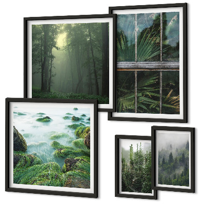 Tableau de décoration murale Paysages verdoyants, forêts, végétation