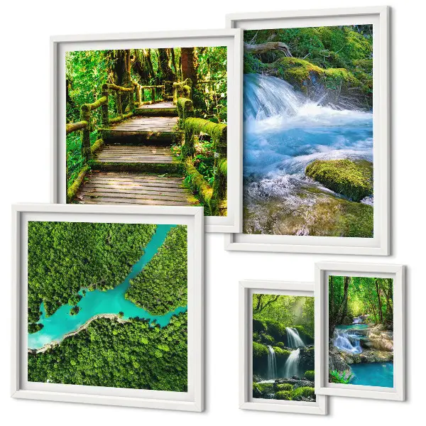Lot de tableaux encadrés représentant des oasis de paix verdoyantes dans la forêt