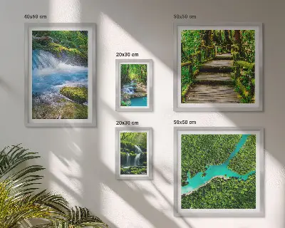 Lot de tableaux encadrés représentant des oasis de paix verdoyantes dans la forêt