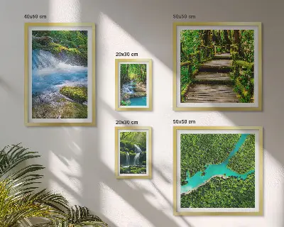 Lot de tableaux encadrés représentant des oasis de paix verdoyantes dans la forêt