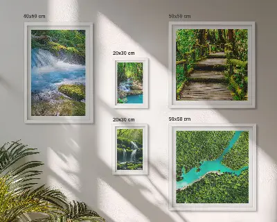 Lot de tableaux encadrés représentant des oasis de paix verdoyantes dans la forêt