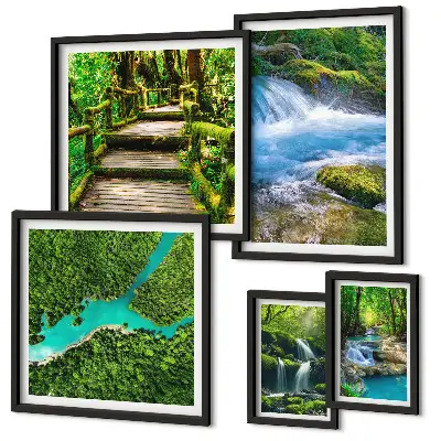 Lot de tableaux encadrés représentant des oasis de paix verdoyantes dans la forêt