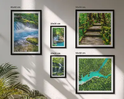 Lot de tableaux encadrés représentant des oasis de paix verdoyantes dans la forêt