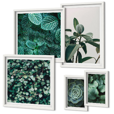 Ensemble de 5 tableaux Motifs végétaux feuilles vertes