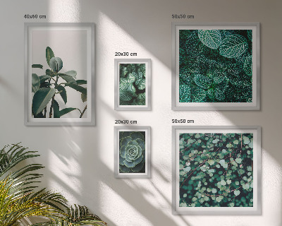Ensemble de 5 tableaux Motifs végétaux feuilles vertes