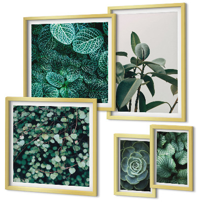 Ensemble de 5 tableaux Motifs végétaux feuilles vertes