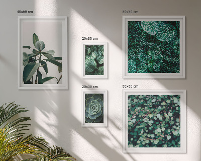 Ensemble de 5 tableaux Motifs végétaux feuilles vertes