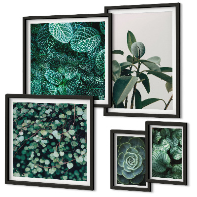Ensemble de 5 tableaux Motifs végétaux feuilles vertes