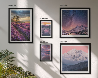 Lot de tableaux encadrés Paysages naturels des montagnes de lavande