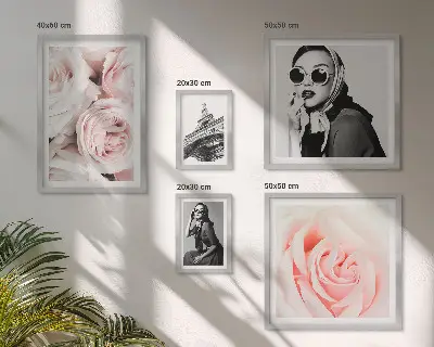Ensemble de 5 tableaux représentant des portraits élégants de roses