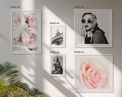 Ensemble de 5 tableaux Des portraits élégants de roses