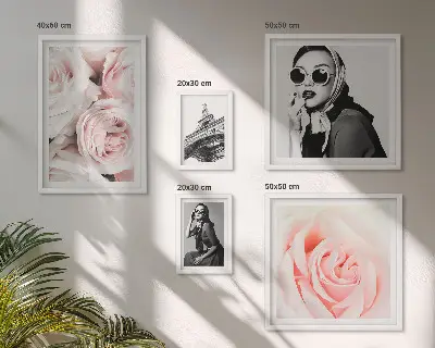 Ensemble de 5 tableaux représentant des portraits élégants de roses
