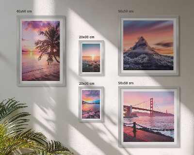 Lot de tableaux encadrés Paysages marins avec des palmiers