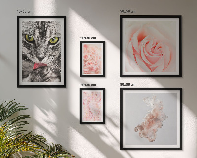 Lot de tableaux encadrés Chats roses aux teintes délicates
