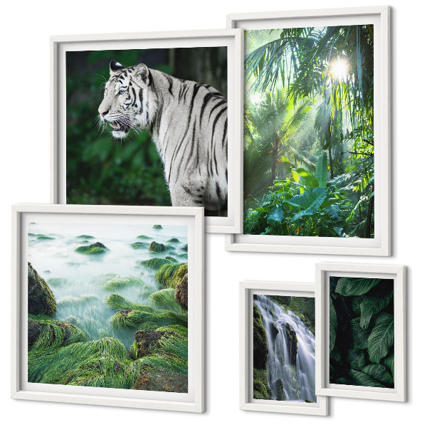 Lot de tableaux encadrés Animaux de la nature tropicale