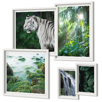 Lot de tableaux encadrés Animaux de la nature tropicale