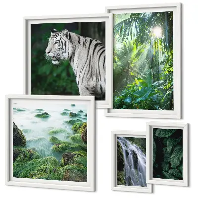 Lot de tableaux encadrés représentant des animaux de la nature tropicale