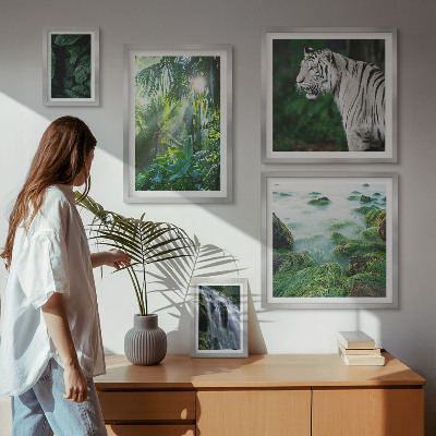 Lot de tableaux encadrés Animaux de la nature tropicale
