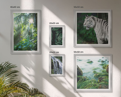 Lot de tableaux encadrés Animaux de la nature tropicale