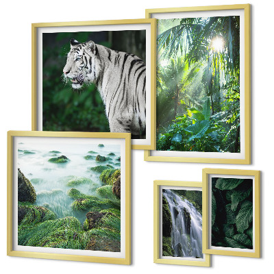 Lot de tableaux encadrés Animaux de la nature tropicale