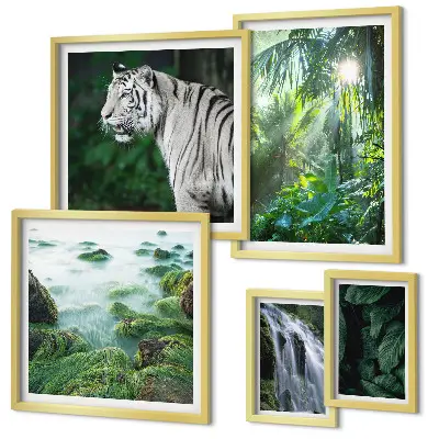 Lot de tableaux encadrés représentant des animaux de la nature tropicale