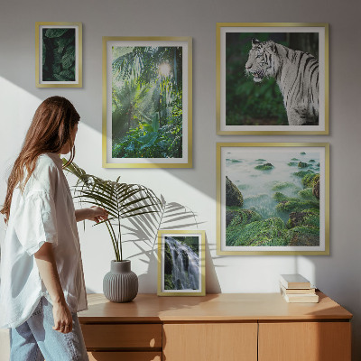 Lot de tableaux encadrés Animaux de la nature tropicale