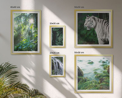 Lot de tableaux encadrés Animaux de la nature tropicale