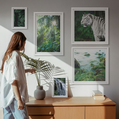 Lot de tableaux encadrés Animaux de la nature tropicale