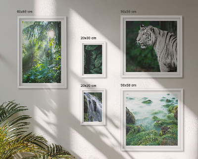 Lot de tableaux encadrés Animaux de la nature tropicale