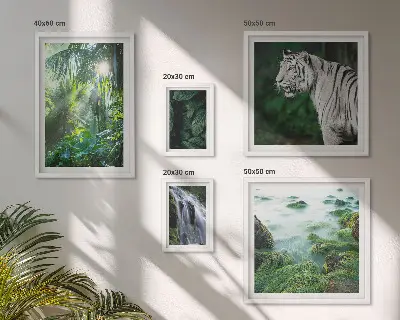 Lot de tableaux encadrés représentant des animaux de la nature tropicale