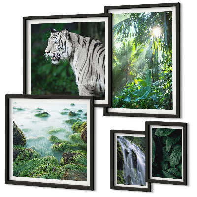 Lot de tableaux encadrés Animaux de la nature tropicale