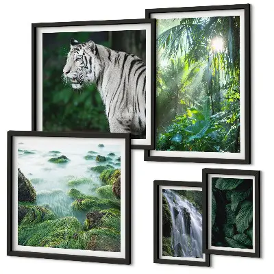 Lot de tableaux encadrés représentant des animaux de la nature tropicale