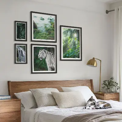 Lot de tableaux encadrés représentant des animaux de la nature tropicale