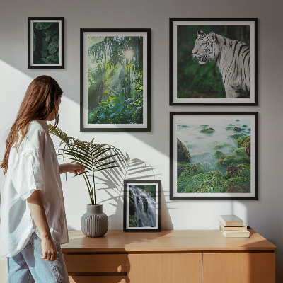 Lot de tableaux encadrés Animaux de la nature tropicale