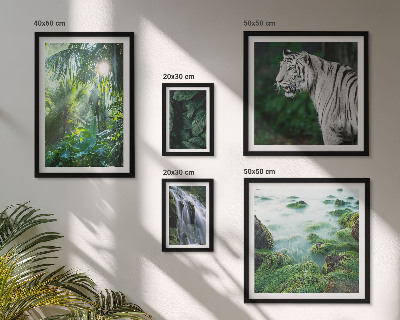 Lot de tableaux encadrés Animaux de la nature tropicale