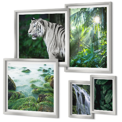 Lot de tableaux encadrés Animaux de la nature tropicale