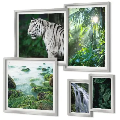 Lot de tableaux encadrés représentant des animaux de la nature tropicale