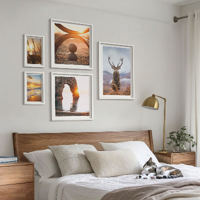 Ensemble de 5 tableaux La nature et les animaux sauvages en harmonie