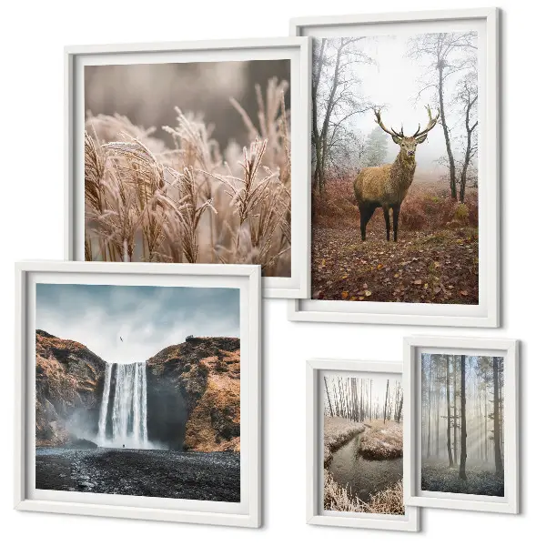 Paysages fauniques ensemble de 5 tableaux
