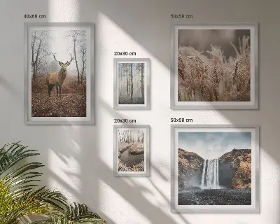 Paysages fauniques ensemble de 5 tableaux