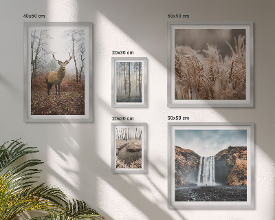 Ensemble de 5 tableaux Paysages fauniques